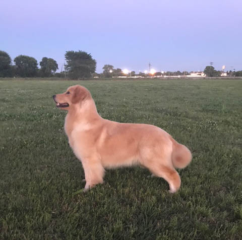 ellie